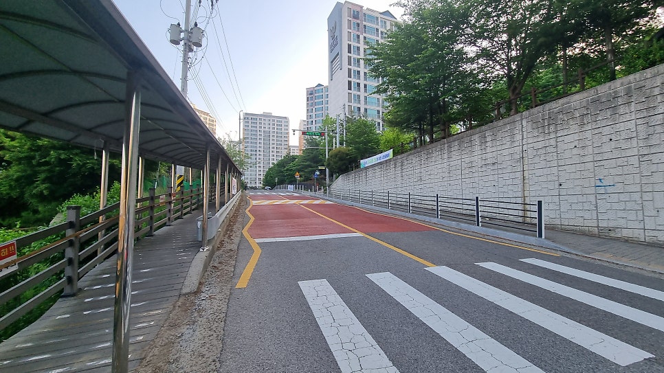 면산 사진 6