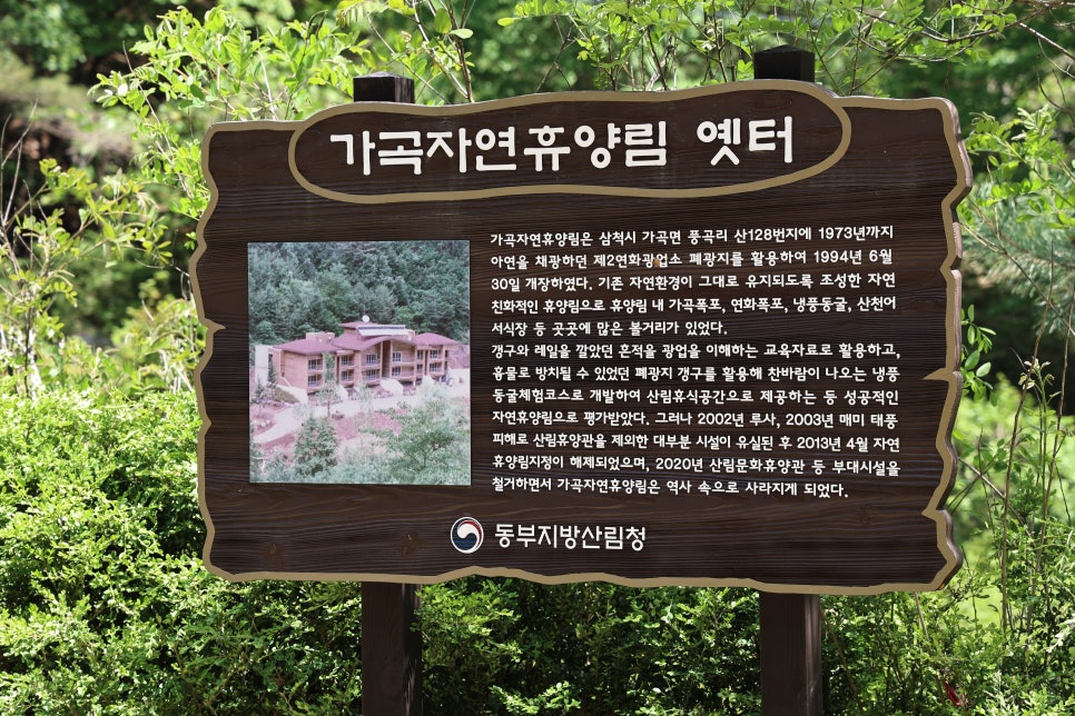 선골 사진 5