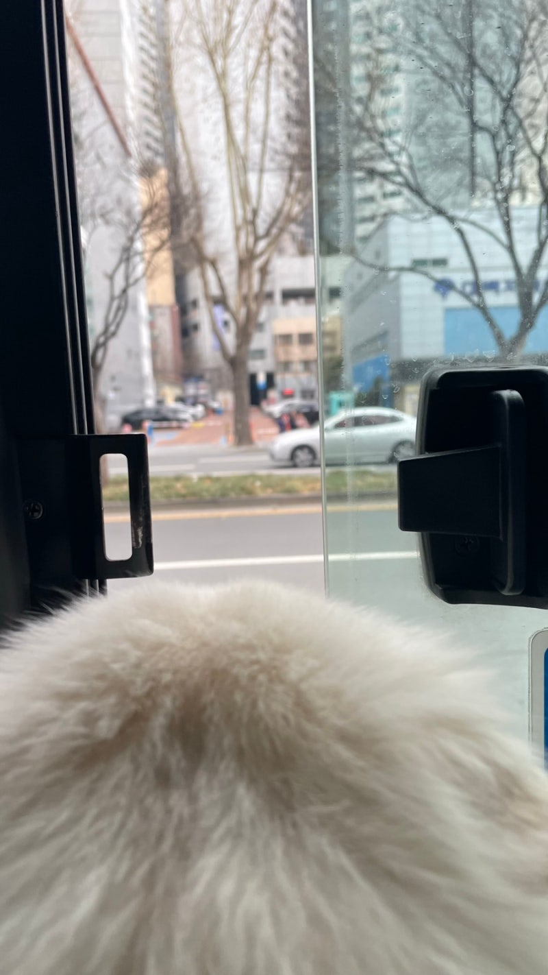 사진 3
