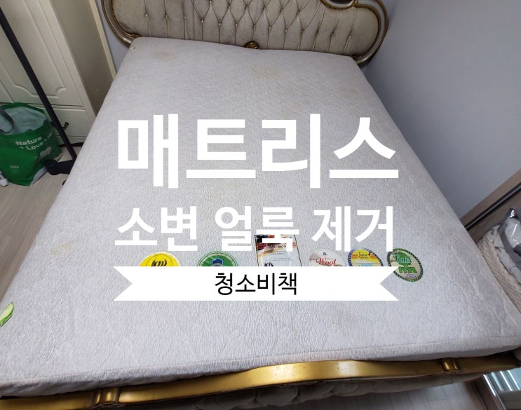 [김포/일산] 매트리스 청소 소변 얼룩 제거 - 청소비책