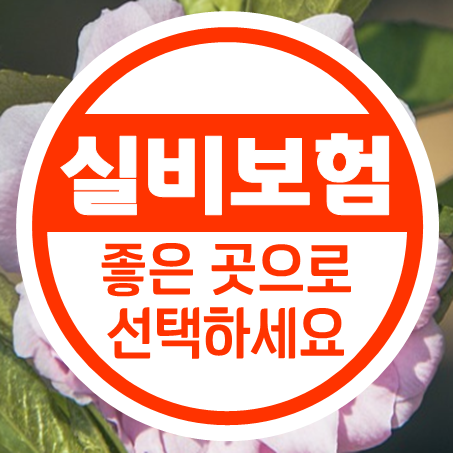  실비보험견적 추천 여러 회사 실비 종합보험 비교 후 가입조건 좋은곳으로 선택하세요.