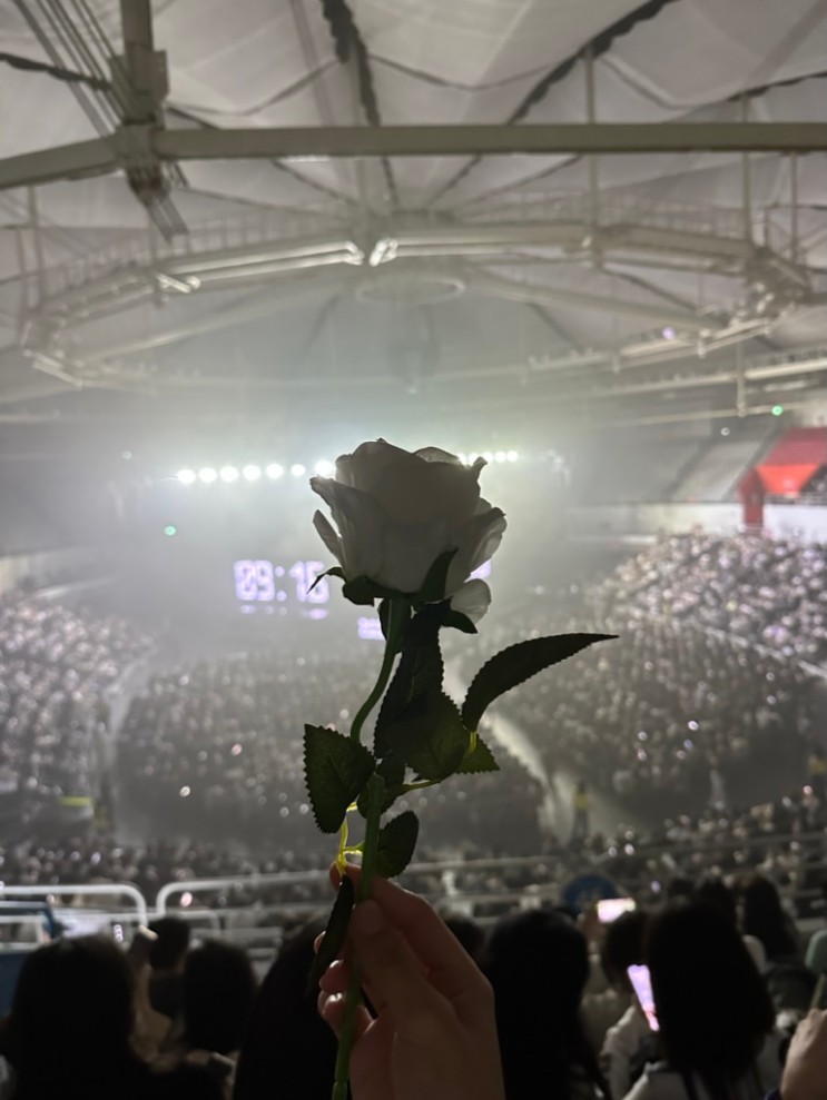 [특별한 일상] 2023 백예린 콘서트 Square 후기 : 올림픽공원 SK올림픽핸드볼경기장