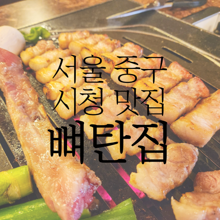 시청역 삼겹살 맛집 '뼈탄집 시청점' 뼈탄 삼겹살 & 매운 직화 뼈구이 후기