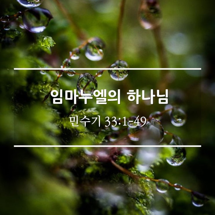  임마누엘의 하나님 / 민 33:1-49