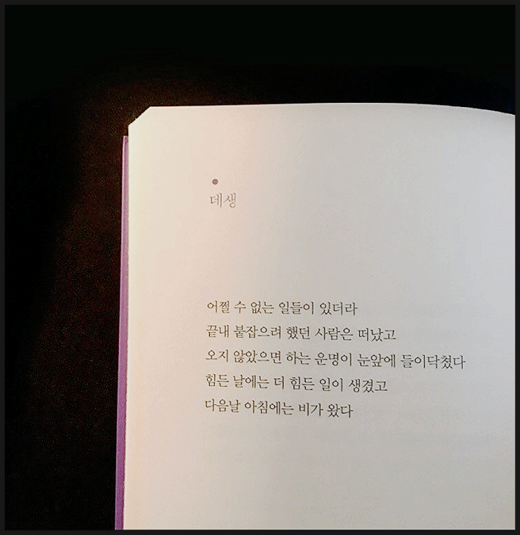 일기장(2023. 5. 22.) 선택과 집중 일기장(2023. 5. 22.) 선택과 집중
