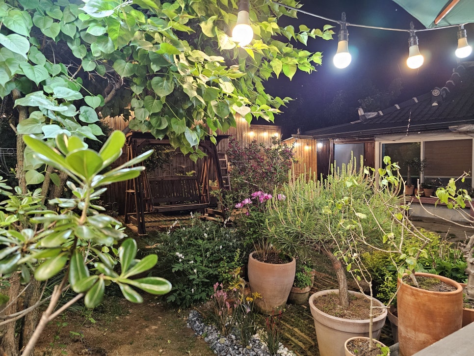 써니하우스 사진 6