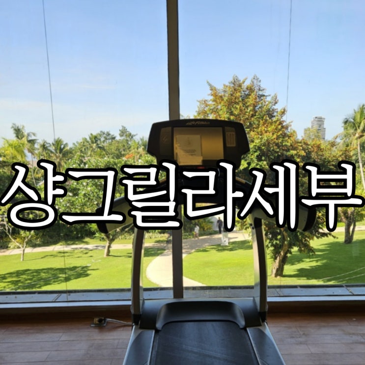  샹그릴라 막탄 세부 헬스장 및 사우나 샤워시설