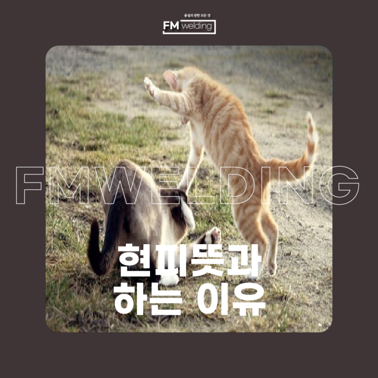  현피뜻과 이유 자세히 공유드립니다!