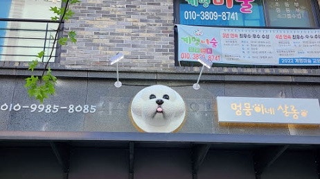 사진 2