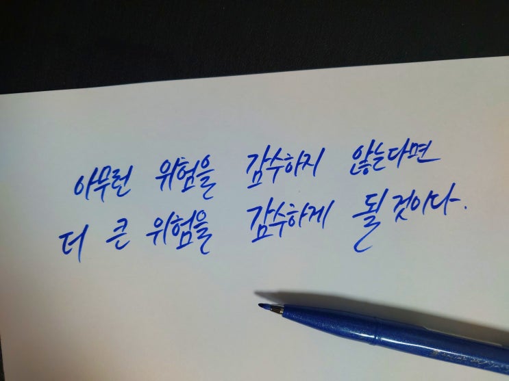 아무런 위험을 감수하지 않는다면 더 큰 위험을 감수하게 될 것이다.