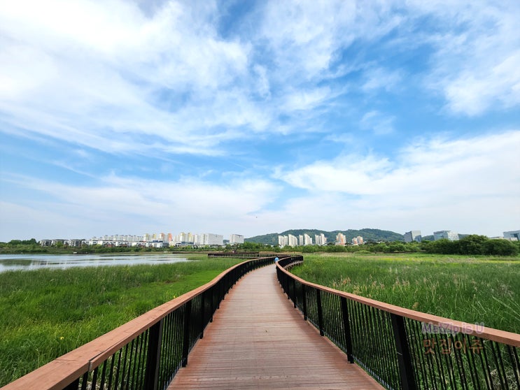  전주 전북혁신도시 출장 / 연구개발특구본부, 빽다방빵연구소, 기지제수변공원, 갑기회관