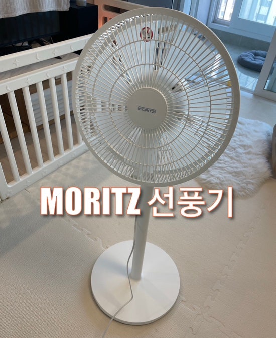  내돈내산 가성비 좋은 MORITZ 모리츠 선풍기 사용 후기_선풍기 조립 방법 포함