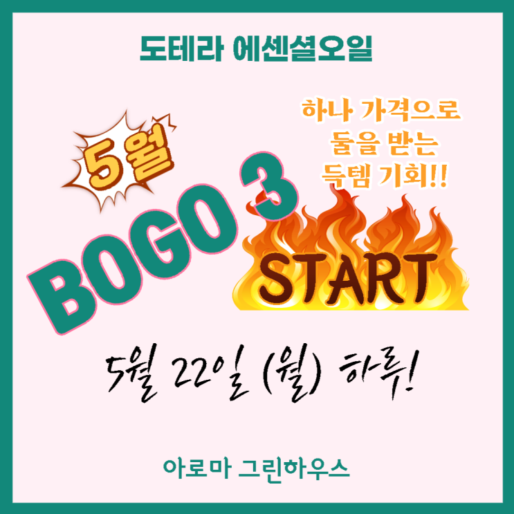  (1+1) 도테라 보고데이 (BOGO day) 셋째 날!! 하나 가격으로 세 개 get!!