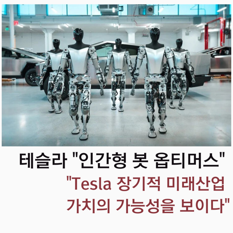 테슬라 봇 인간형 AI 로봇 옵티머스 Tesla 주주총회에서 장기적 미래산업 가치의 가능성을 보이다
