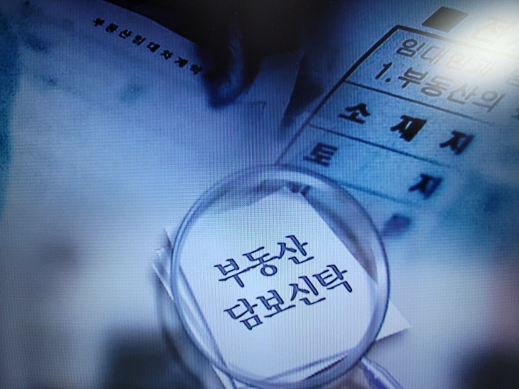  대구 전세사기 부동산신탁등기 담보신탁 등기된 전세집 계약할때 주의사항
