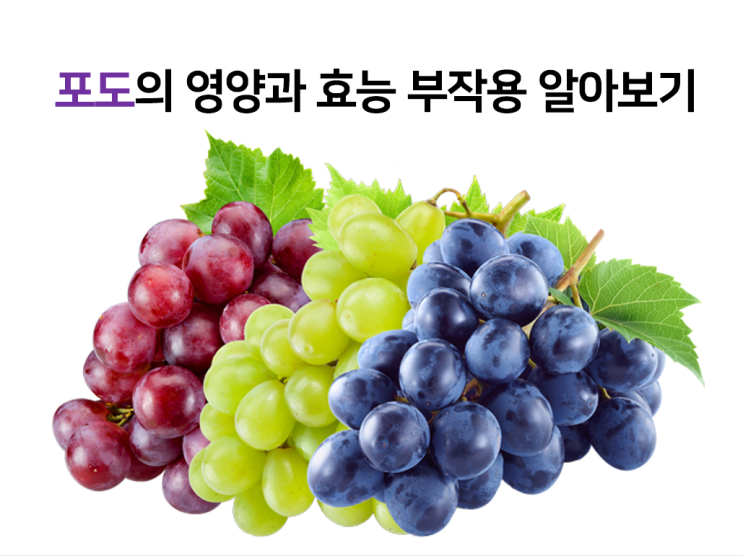  포도(Grape)의 영양과 효능, 부작용을 알아보자