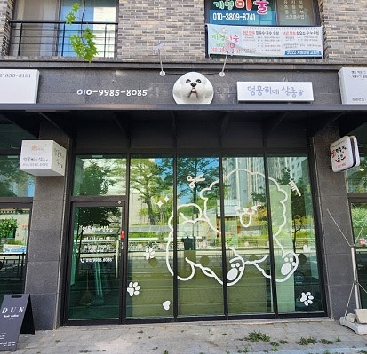 멍뭉이네살롱