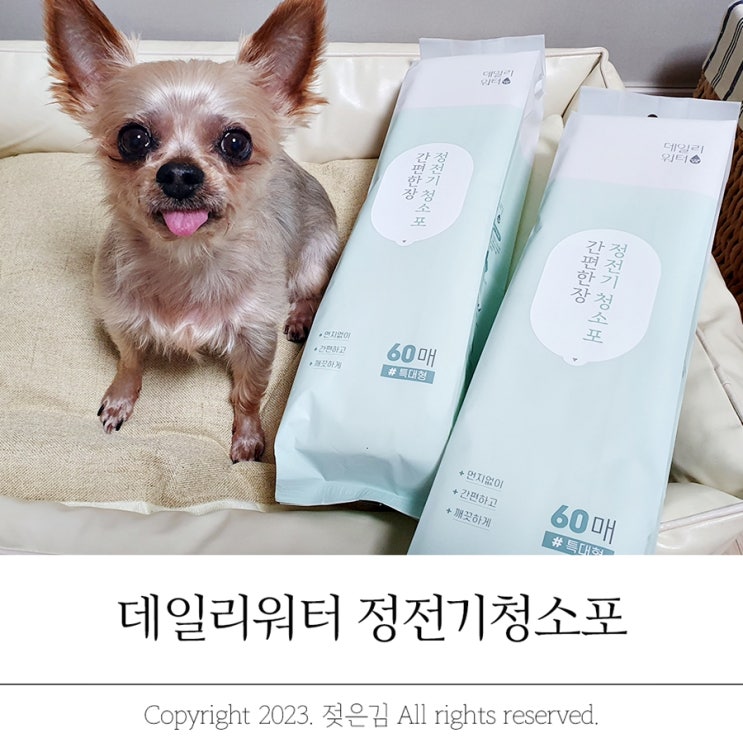 데일리워터 정전기청소포 강아지털도 꽃가루도 안녕 데일리워터 정전기청소포 강아지털도 꽃가루도 안녕