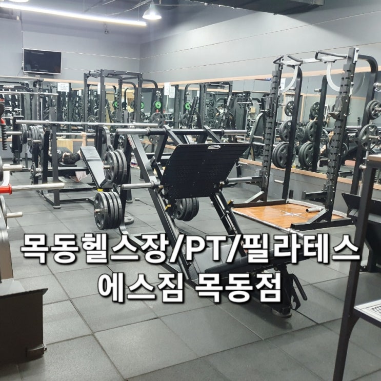  목동 헬스장 에스짐 목동점 PT/기구필라테스 한번에!