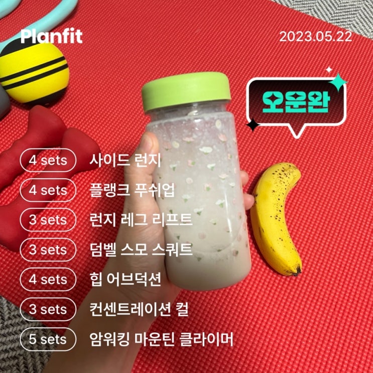 운동일지 (fe.플랜핏) 운동일지 (fe.플랜핏)