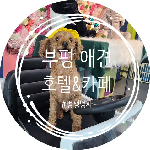 사진 8