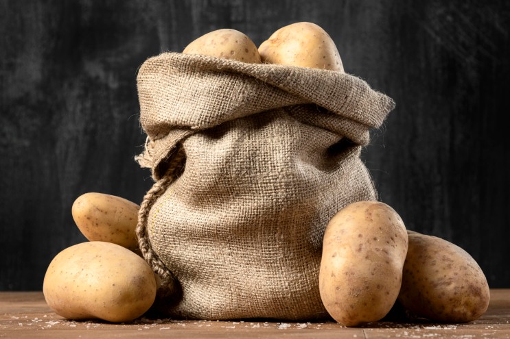 감자 재배의 기초 : 토양과 환경 조건