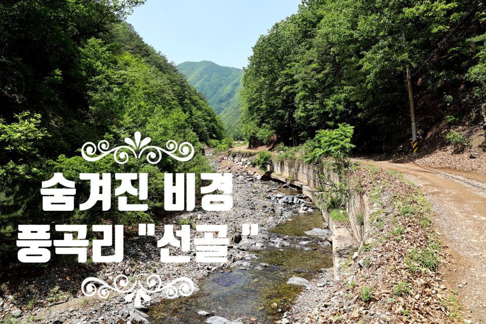 선골 사진 1