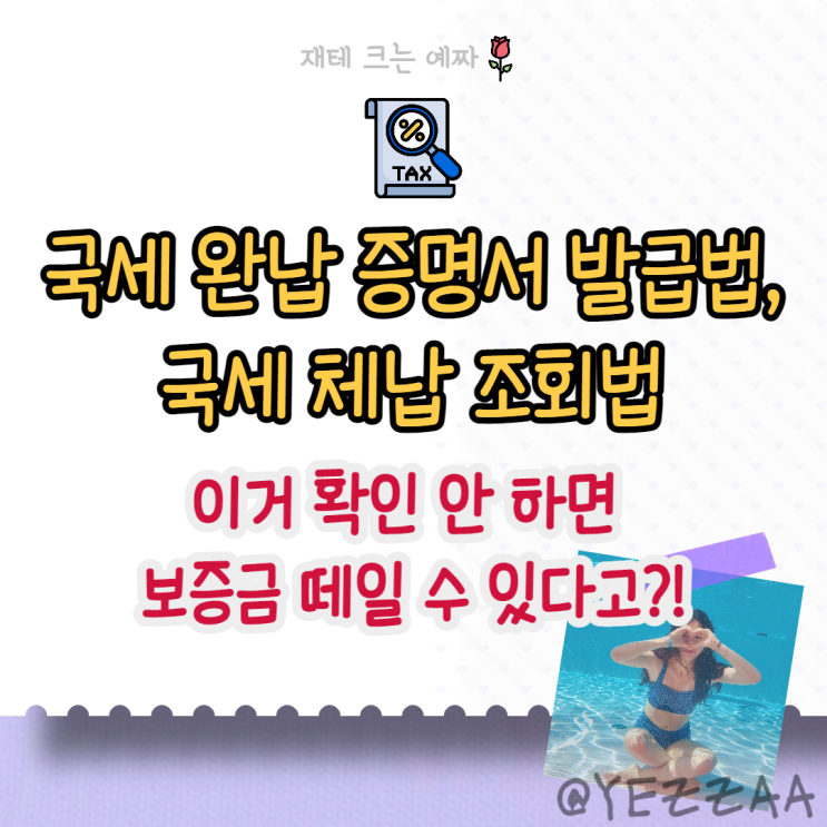  국세 완납 증명서(국세 납세증명원) 발급법, 국세 체납조회법