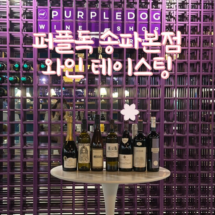 송파 와인샵 퍼플독 프리미엄 테이스팅 클래스로 와인 입문!