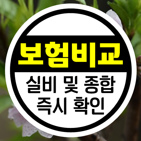  성인 어린이보험 35세까지 가입조건 및 성인실비보험 가격 즉시 비교해 보세요.