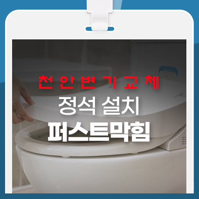  천안변기교체, 정석 설치