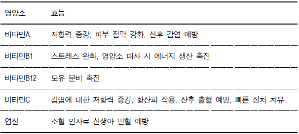  산모에게 필요한 필수영양소 정리