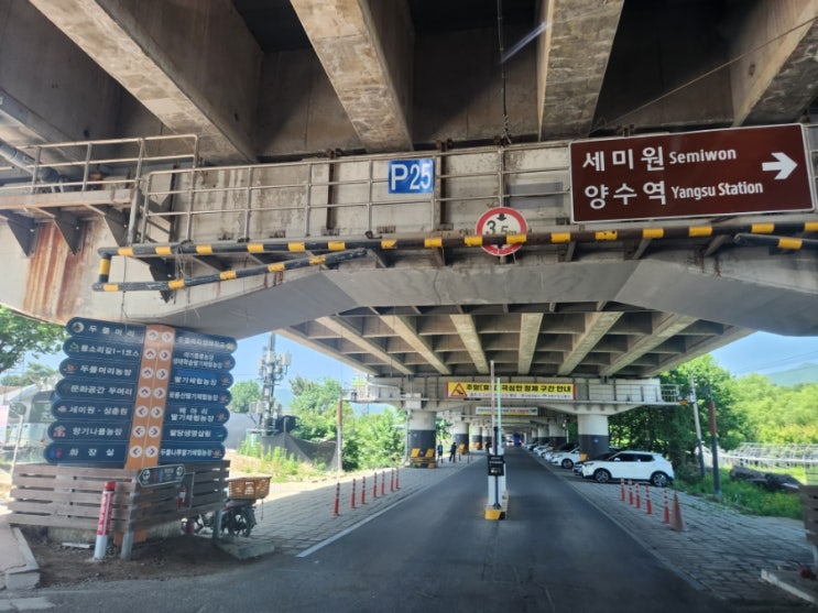 두물머리 주차장 정보 팁