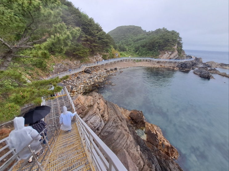  강릉 정동심곡 바다부채길: 정동진 해안선을 따라 걷는 산책길