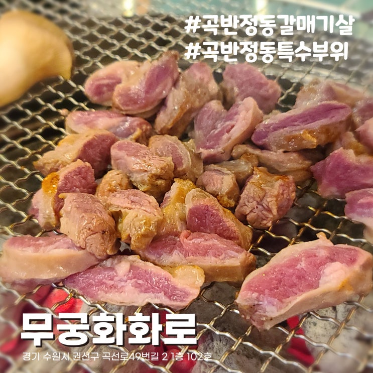  [수원/곡반정동 맛집] 한돈 특수부위 갈매기살맛집 무궁화화로