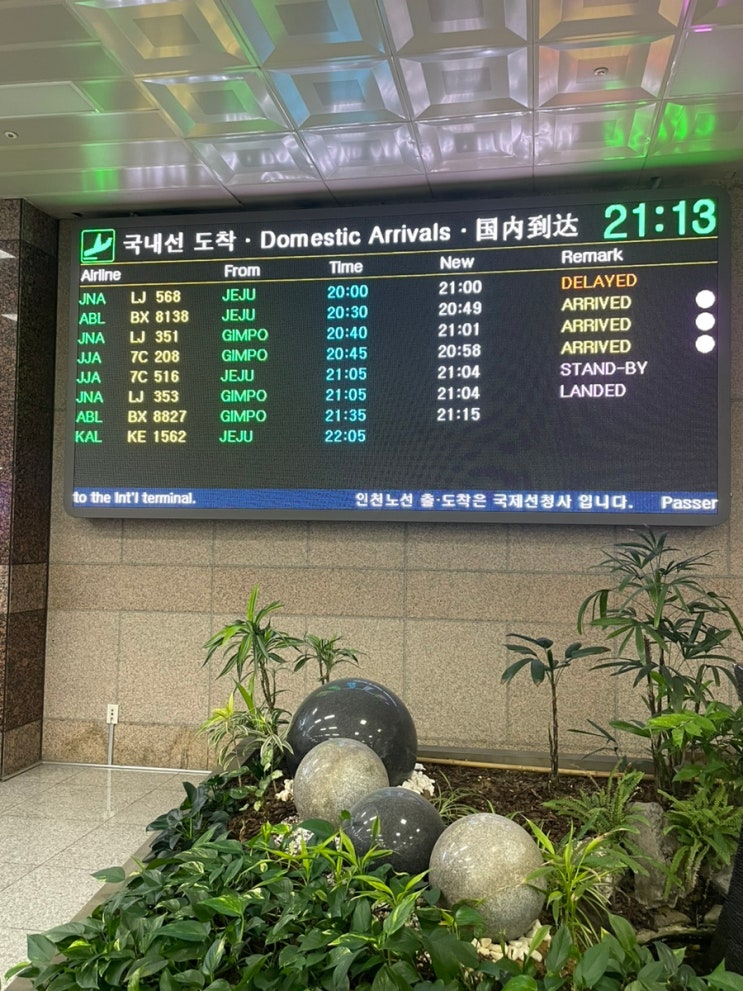 5월 4주 운동일기 김해공항 김밥 데이 테니스 헬스 3분할 운동루틴