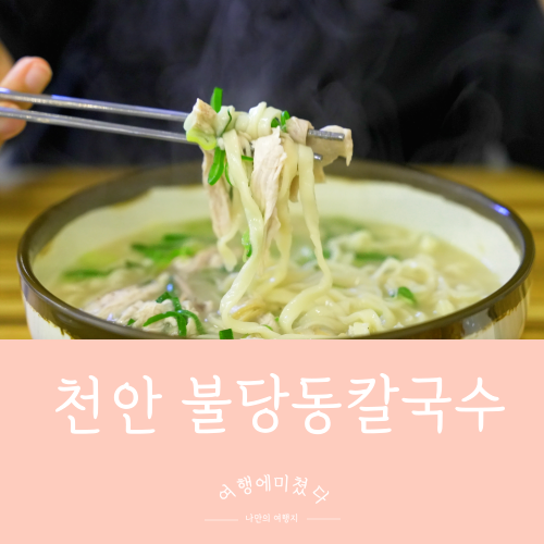  부자되닭칼국수 천안 불당동 칼국수 천안시청 닭개장 닭칼국수맛집