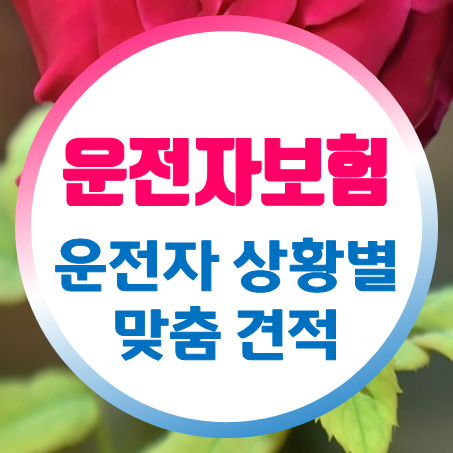  운전자보험가입 보상 및 비용을 고려한 20대 초보운전자보험 추천 받아보세요.
