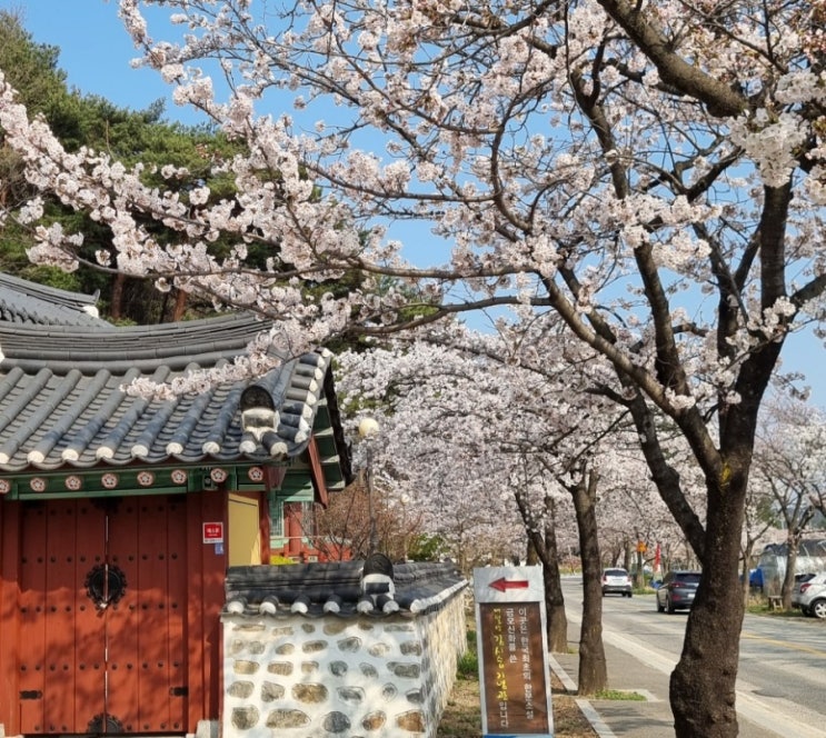  펜션 사업자의 종합소득세 신고 방법