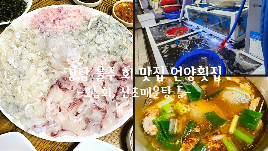 Eonyangsusanhoetjip photo 1
