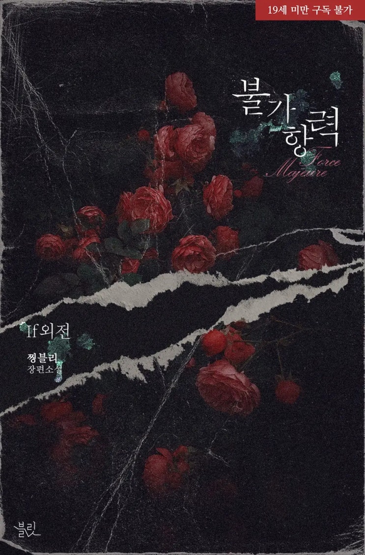 BL소설 리뷰) 찡블리-불가항력 (IF 외전) BL소설 리뷰) 찡블리-불가항력 (IF 외전)