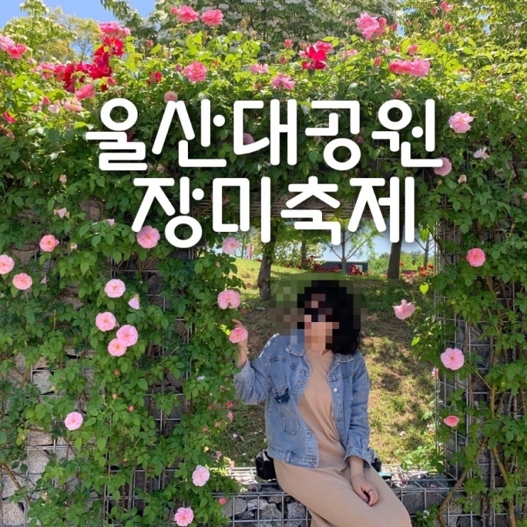  울산 대공원 장미축제 포토존, 주차장, 장미원 개화 현황
