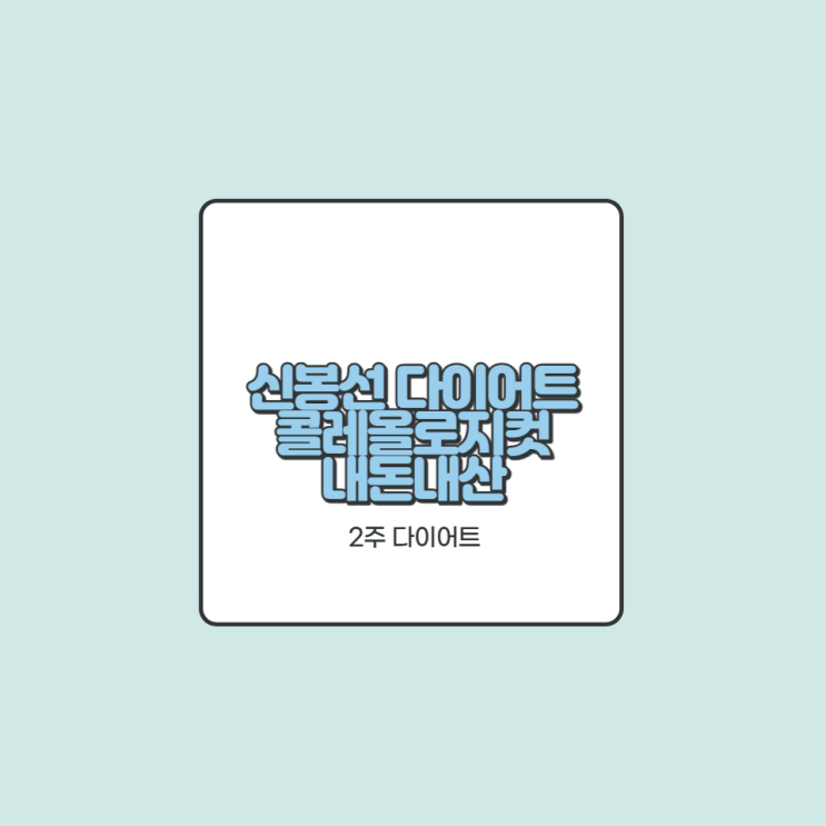  신봉선 다이어트 2주 다이어트 빨간통 내돈내산