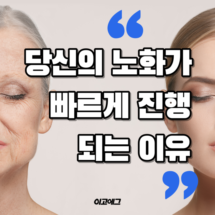  이고에그 EGOEGG | 당신의 노화가 빠르게 진행되는 이유