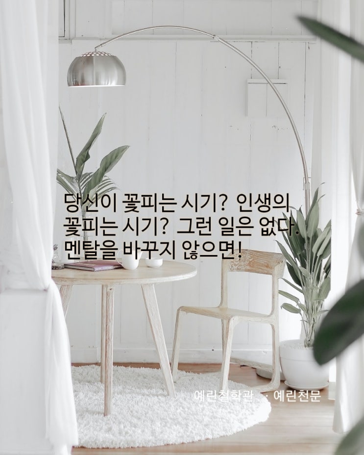 인생의 꽃피는 시기? 그런일은 없다