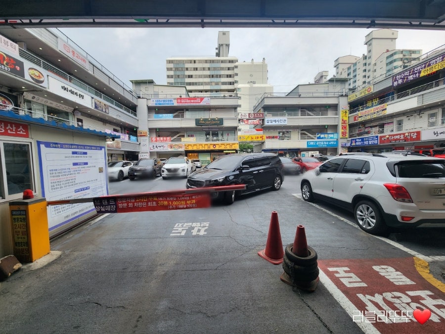 삼월애사진관 사진 3