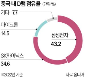 "이러다간 삼성전자·하이닉스에 불똥"…경고 나온 까닭