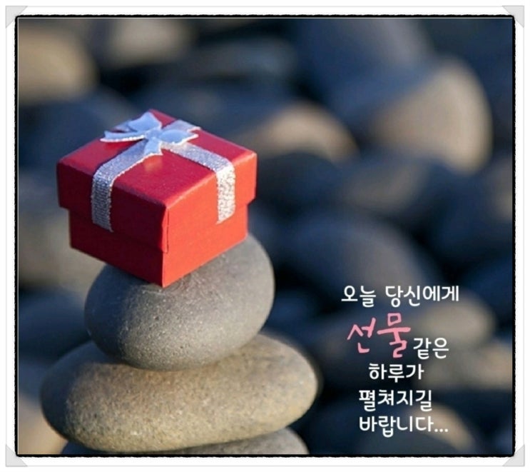  오늘은 이랬으면 좋겠습니다