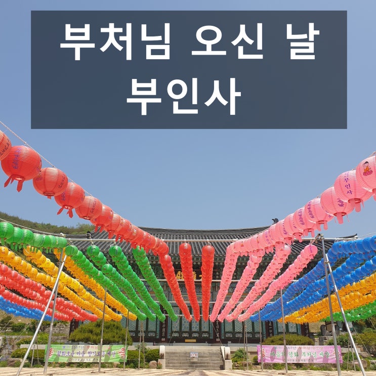  대구 팔공산 부처님 오신 날 '부인사'