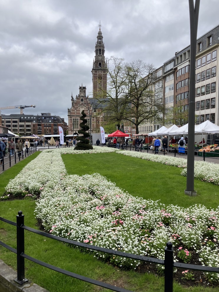벨기에 루벤의 광장 Herbert Hooverplein 벨기에 루벤의 광장 Herbert Hooverplein